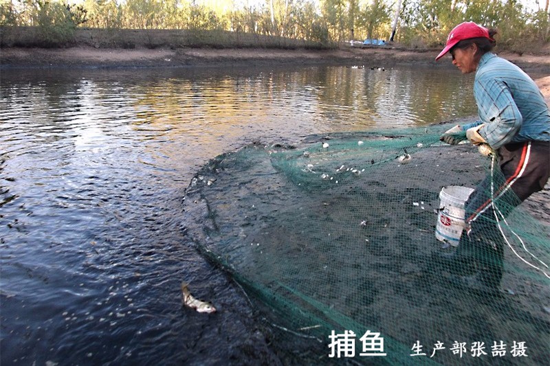 捕魚(yú)_副本.jpg
