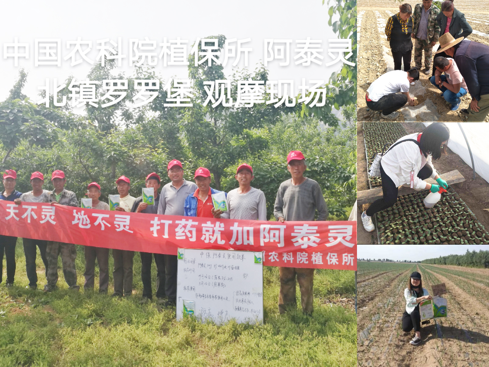 實(shí)驗(yàn)示范與觀摩1.jpg