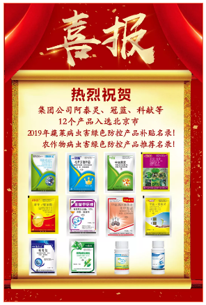 喜報(bào).png