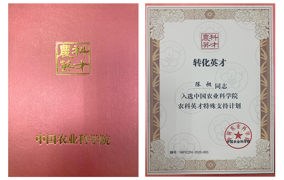 證書1.jpg